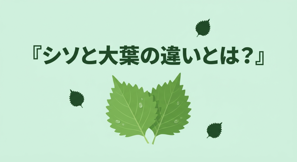 shiso-ooba-chigai