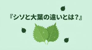 shiso-ooba-chigai