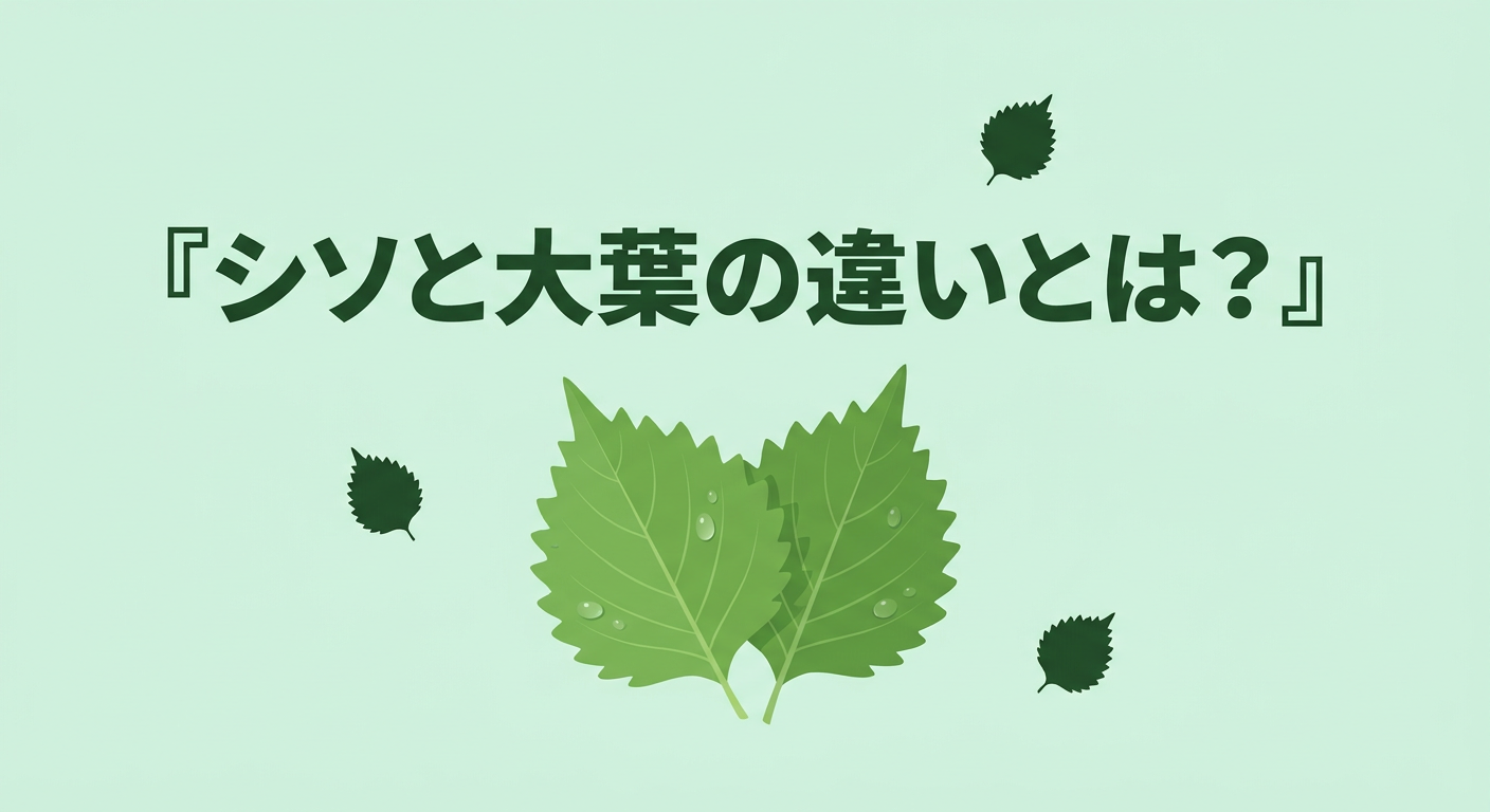 shiso-ooba-chigai